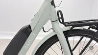 Gazelle Bloom C7