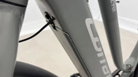 Corratec E-Power C29 CX6