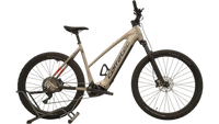 Corratec E-Power X-Vert Pro