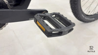 Corratec E-Power X-Vert Pro
