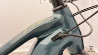 Haibike AllTrail 9