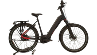 Koga PACE B 10 Flex Accu
