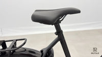 Koga PACE B 10 Flex Accu