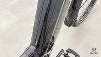 Koga PACE B 10 Flex Accu