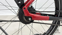 Koga PACE B 10 Flex Accu