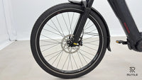 Koga PACE B 10 Flex Accu