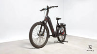 Koga PACE B 10 Flex Accu