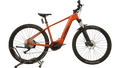 KTM Macina Team 793