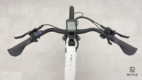 Pegasus Premio EVO 10 Lite