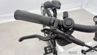 Pegasus Premio EVO 10 Lite