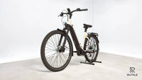 Pegasus Premio EVO 10 Lite