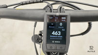 Axess Force 29 Allroad