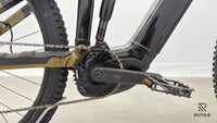 Haibike ALLTRAIL 10