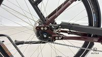 Victoria E-Manufaktur 9.8