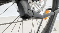Raleigh Dundee 9Ltd