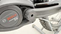 Raleigh Dundee 9Ltd