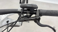 Haibike ALLMTN 3