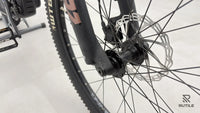 Haibike ALLTRACK 4