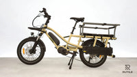 Yuba Fastrack Latte Family Edition