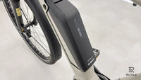 Falter E 9.5 FL 725