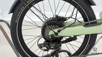 UTO OG20 Vert Sauge