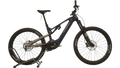 Haibike ALLMTN CF 10 L