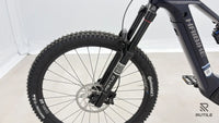 Haibike ALLMTN CF 10 L