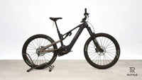 Haibike ALLMTN CF 10 L
