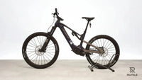 Haibike ALLMTN CF 10 L