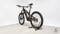 Haibike ALLMTN CF 10 L
