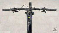 Haibike ALLMTN CF 10 L