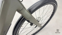 Riese & Muller Urban Five Silent