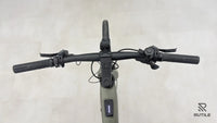 Riese & Muller Urban Five Silent