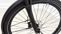 Pegasus Premio Evo 10 Lite