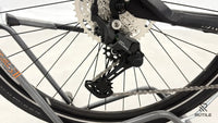 Pegasus Premio Evo 10 Lite