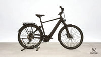 Pegasus Premio Evo 10 Lite