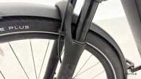 Pegasus Premio Evo 10 Lite