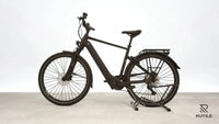 Pegasus Premio Evo 10 Lite