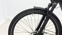 Pegasus Premio Evo 10 Lite