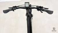 Pegasus Premio Evo 10 Lite