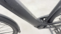 Pegasus Premio Evo 10 Lite