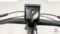 Pegasus Premio Evo 10 Lite