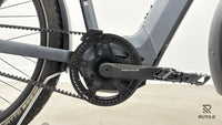 Riese & Müller Charger4 Mixte GT vario