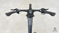 Riese & Müller Charger4 Mixte GT vario