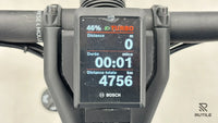 Riese & Müller Charger4 Mixte GT vario