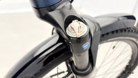 Trek Allant 6+