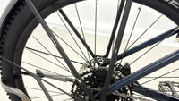 Trek Allant 6+