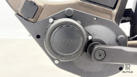 R Raymon CityRay E 4.0 SE
