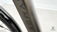 R Raymon CityRay E 4.0 SE