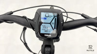 R Raymon CityRay E 4.0 SE